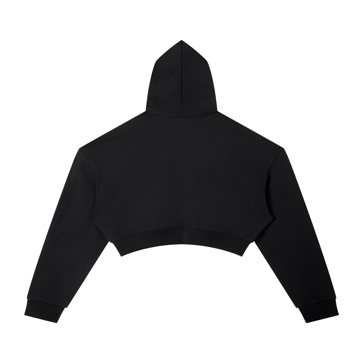 WBP SINCE DAY 1 CROPPED HOODIE (B)