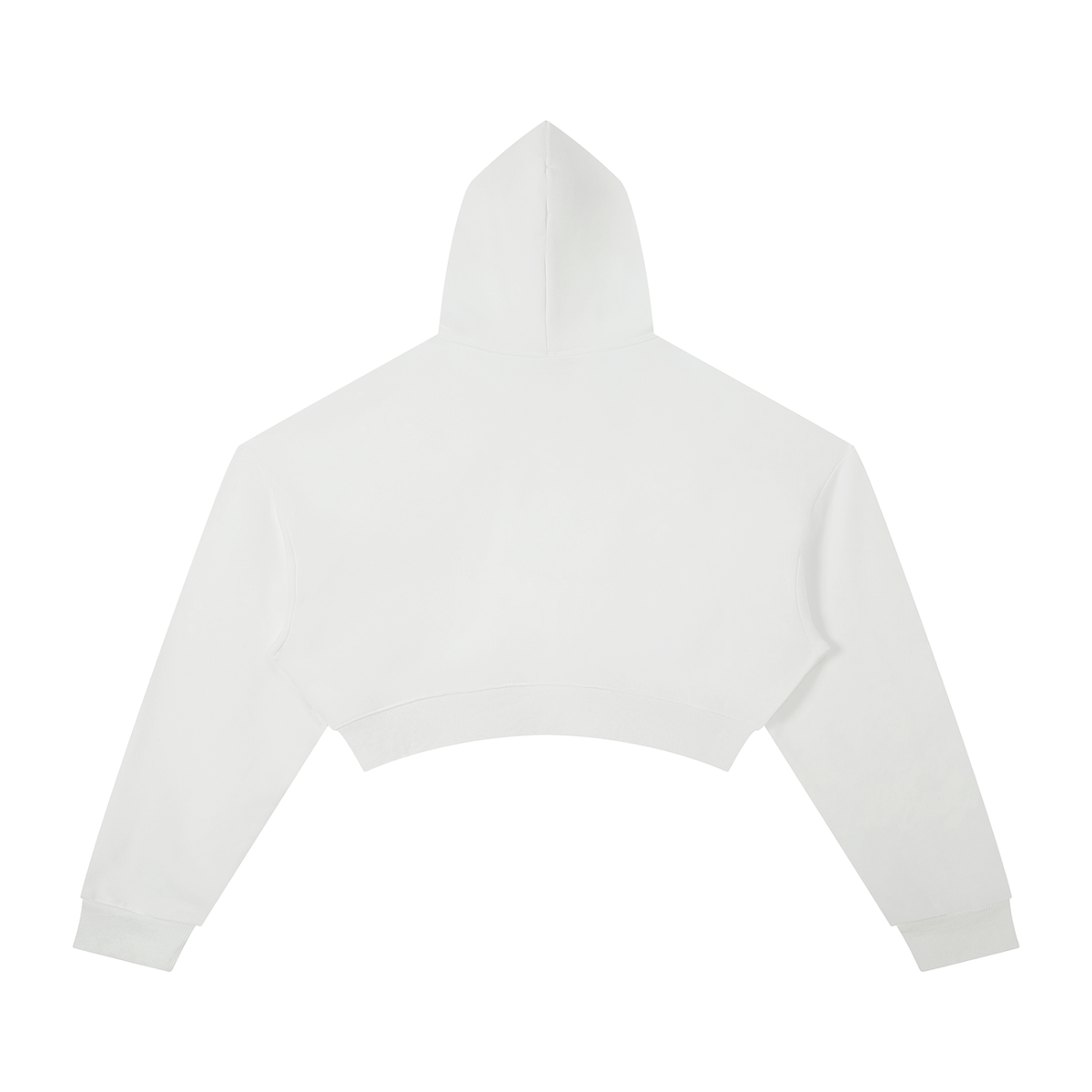 WBP SINCE DAY 1 CROP HOODIE (W)