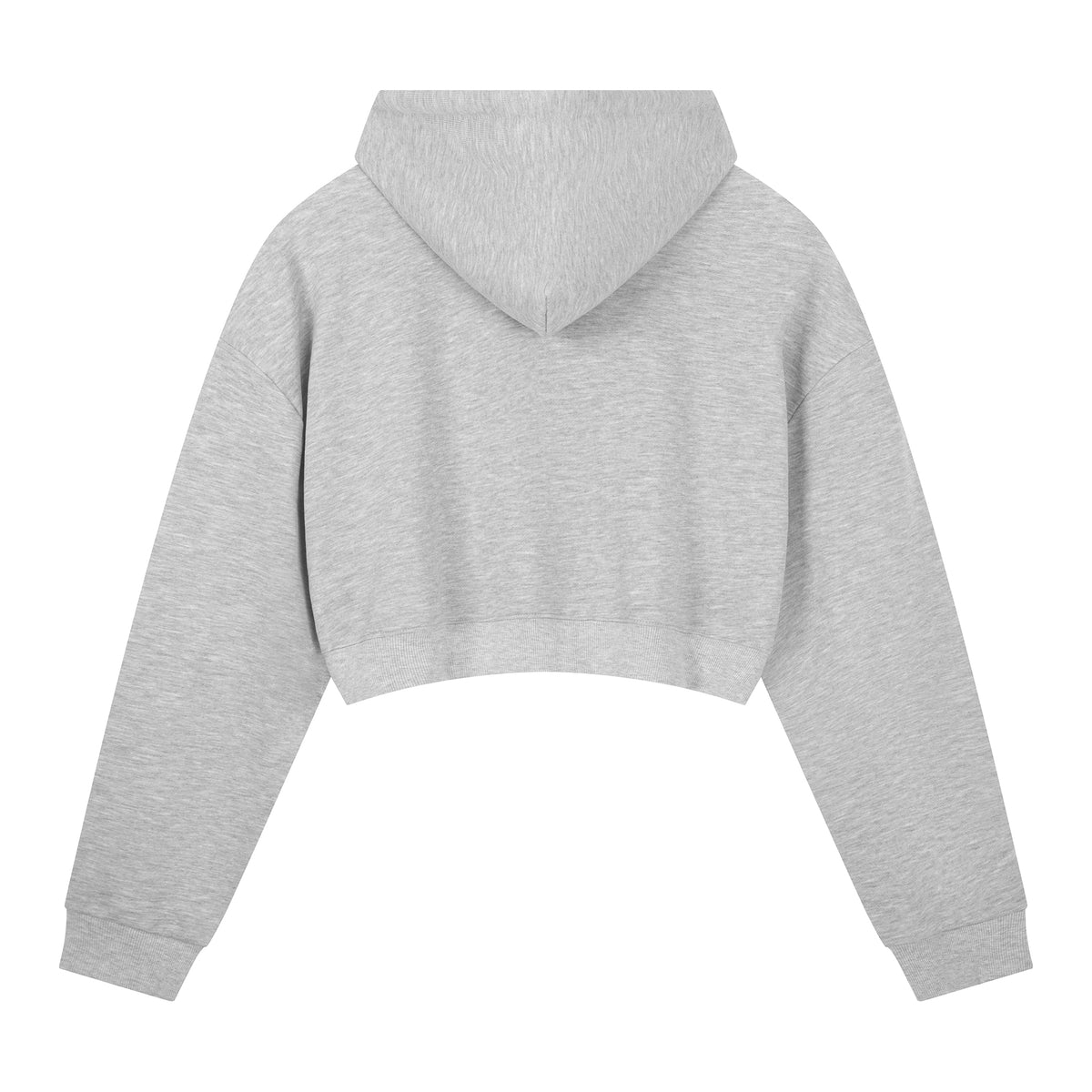 WBP SINCE DAY 1 CROPPED HOODIE (B)